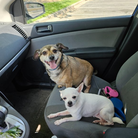 Meet your Posher, Pamela 🩷🥞 - Picture 11 of 13